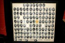 1163 LCHS Class 1964_